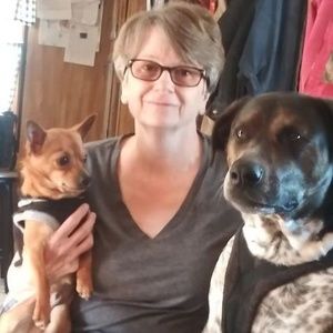 Meet your Posher, Debbie